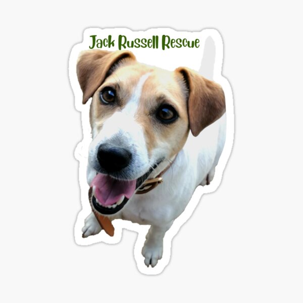 Teddy Sticker