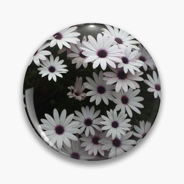 Item preview, White African Daisies In A Flower Bed designed and sold by taiche.