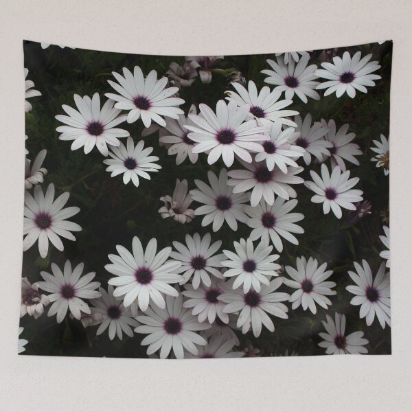Item preview, White African Daisies In A Flower Bed designed and sold by taiche.