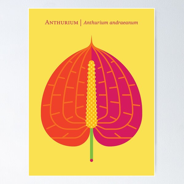 Item preview, Nature: Anthurium designed and sold by Christopher Dina.