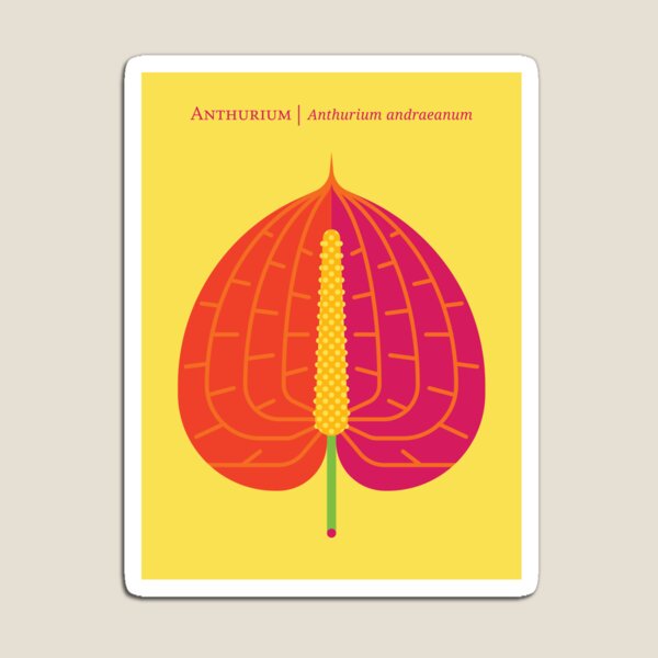 Item preview, Nature: Anthurium designed and sold by Christopher Dina.