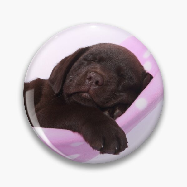Item preview, sleeping labrador puppy designed and sold by JeanettesPets.
