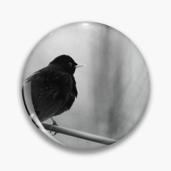 Item preview, Waiting for the inspiration. Blackbird in bw designed and sold by Jouko Lehto Photography.