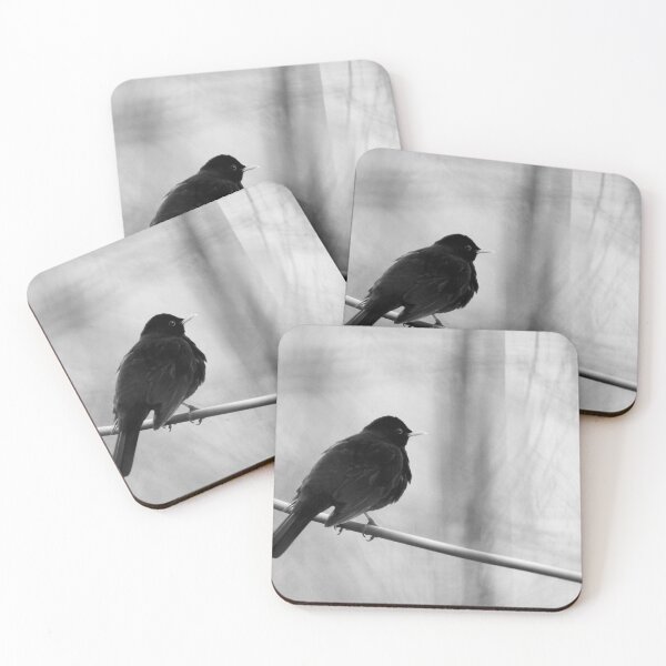 Item preview, Waiting for the inspiration. Blackbird in bw designed and sold by Jouko Lehto Photography.