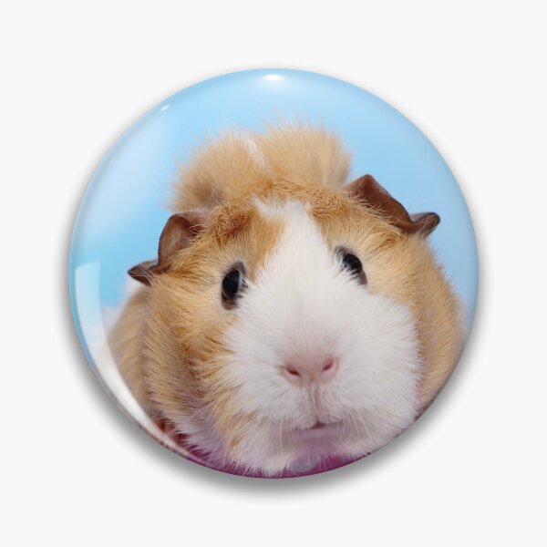 Item preview, cute guinea pig designed and sold by JeanettesPets.