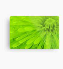 Lime Green Wall Art bright lime green: wall art | redbubble Lime Green Wall Art bright lime green: wall art | redbubble