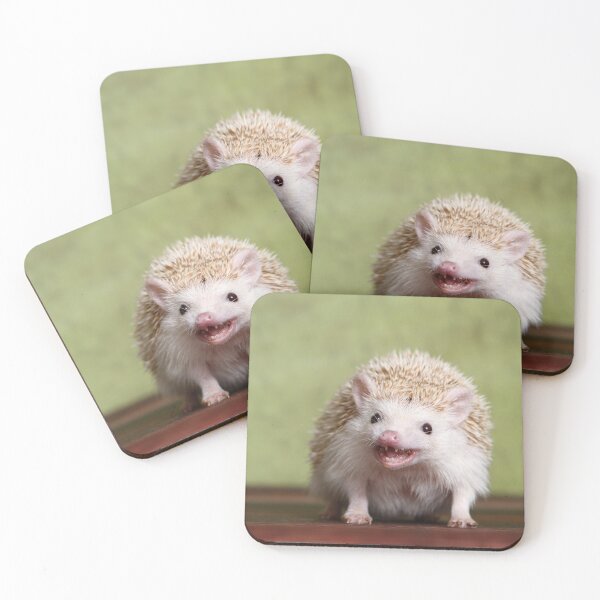 Item preview, african white-bellied hedgehog designed and sold by JeanettesPets.