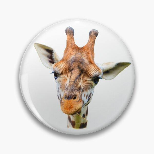 Item preview, Mr G Raff looking at you designed and sold by Dalyndigital Photography.