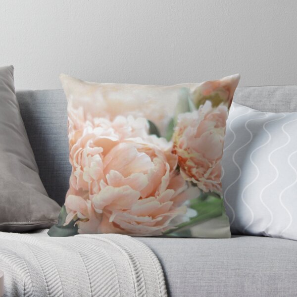 https://ih1.redbubble.net/image.114480343.9411/throwpillow,small,600x-bg,f8f8f8-c,0,120,600,600.jpg