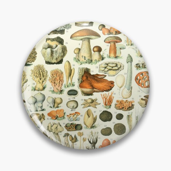 Item preview, Edible Mushroom Chart Vintage | Adolphe Millot Champignon designed and sold by MagicBoutique.