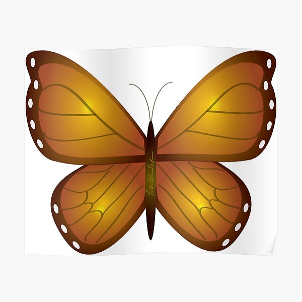 Float like a Butterfly Poster