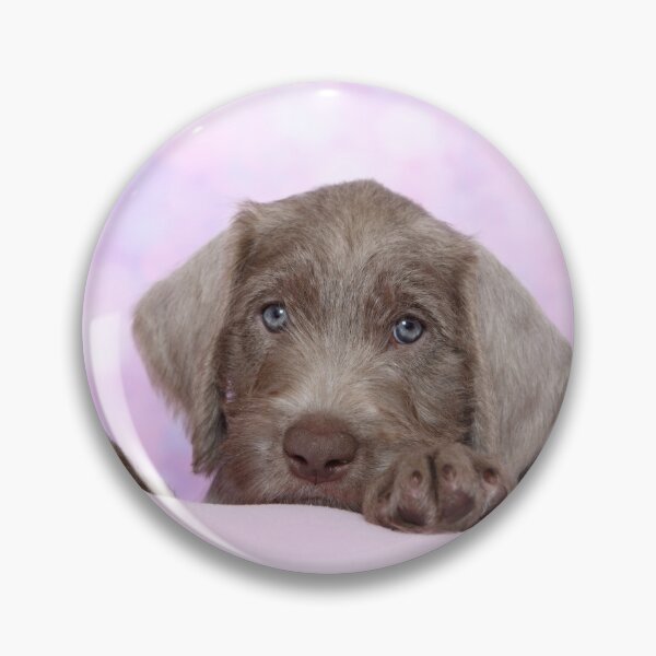 Item preview, Slovakian whiskered puppy designed and sold by JeanettesPets.