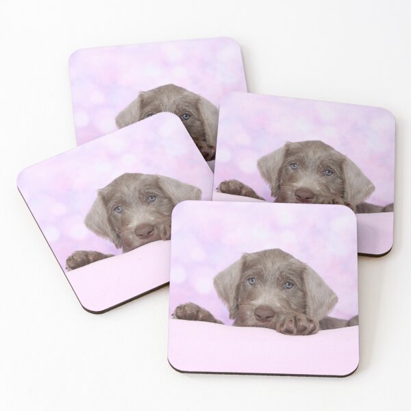 Item preview, Slovakian whiskered puppy designed and sold by JeanettesPets.