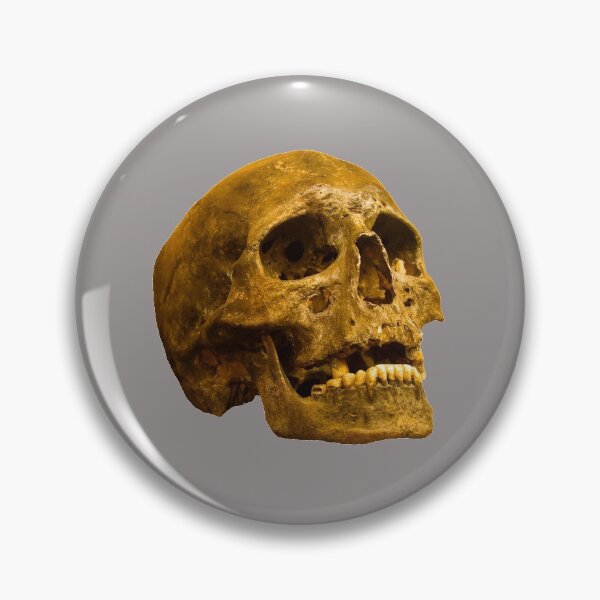 Item preview, Human Skull designed and sold by Dalyndigital Photography.