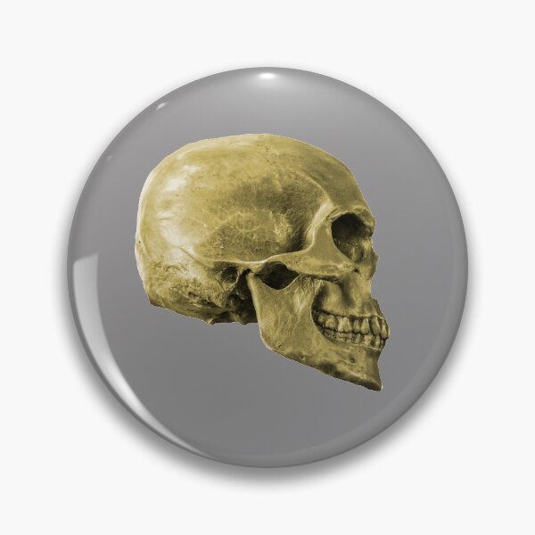 Item preview, Human Skull designed and sold by Dalyndigital Photography.