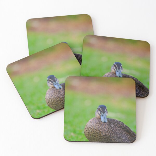 Item preview, A Duck In The Park designed and sold by Jason Gilbert.
