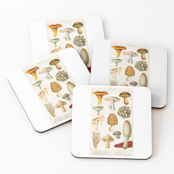 Item preview, Edible Mushroom Chart Vintage | Edible Fungi Champignon Chart  designed and sold by MagicBoutique.