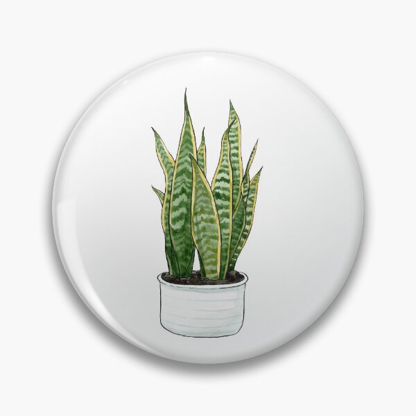 Item preview, Sansevieria Pant designed and sold by Markami.