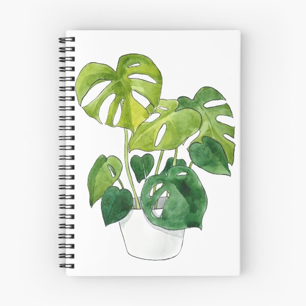 Item preview, Monstera Deliciosa Plant designed and sold by Markami.
