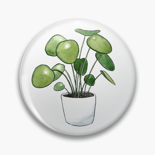 Item preview, Pilea Peperomioides Plant designed and sold by Markami.