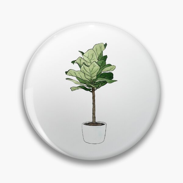 Item preview, Fiddle Leaf Fig Plant designed and sold by Markami.