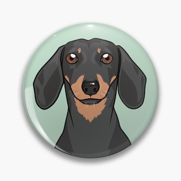 Chien teckel / Daschund / Chien teckel Badge