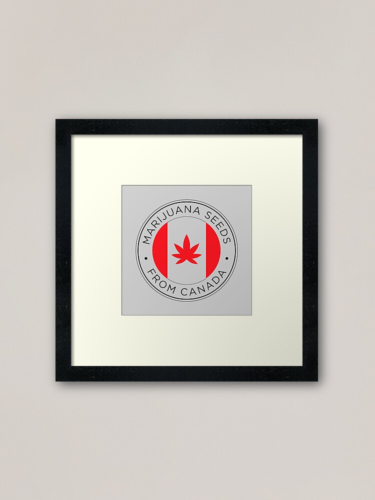 Alternate view of marijuana seeds from canada Framed Art Print