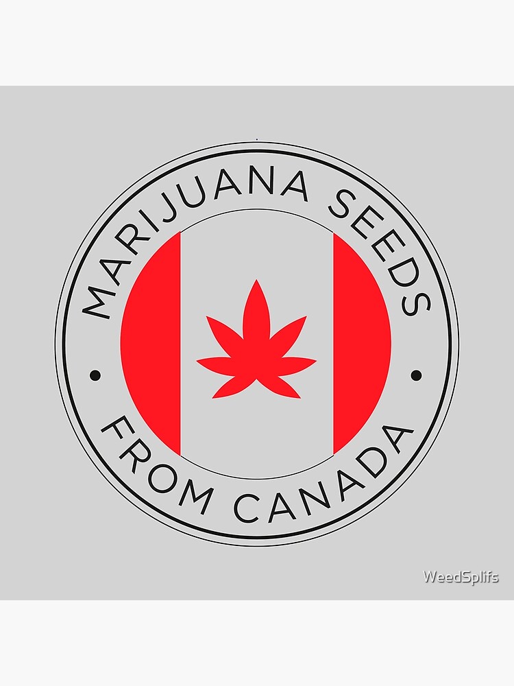 marijuana seeds from canada by WeedSplifs