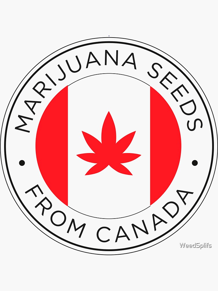 marijuana seeds from canada by WeedSplifs