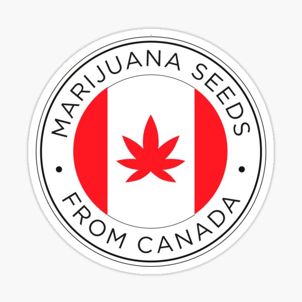 marijuana seeds from canada Sticker