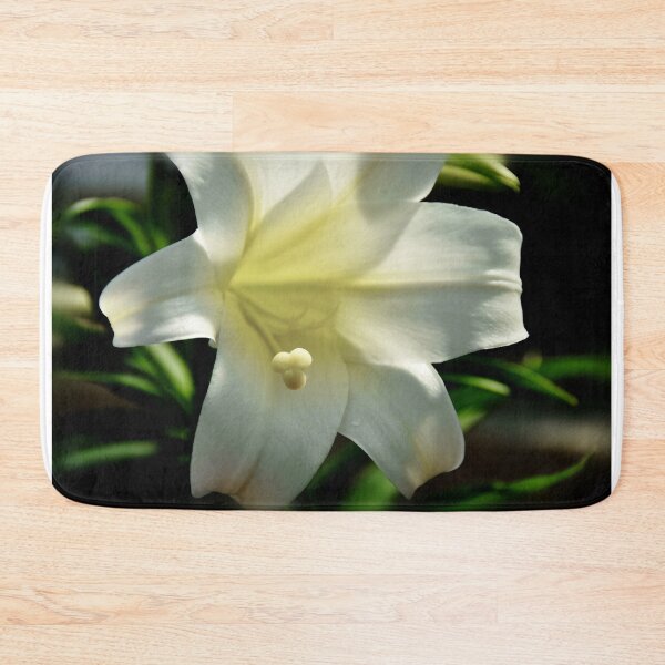 Item preview, Easter Lily - Happy Easter everyone..... designed and sold by Poete100.