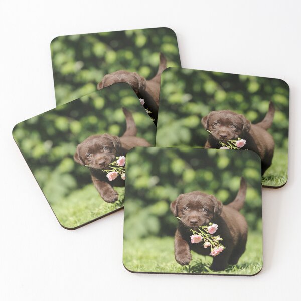 Item preview, Chocolate Labrador puppy designed and sold by JeanettesPets.