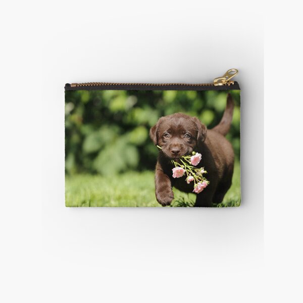 Item preview, Chocolate Labrador puppy designed and sold by JeanettesPets.