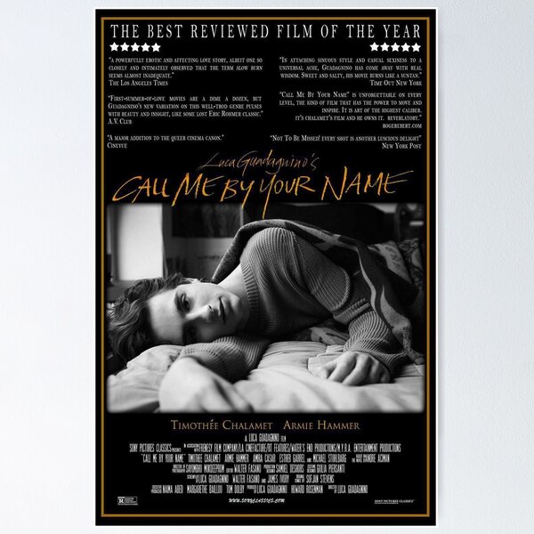 Call Me By Your Name Poster,Timothee Chalamet Merch,Canvas Wall Art For  Living Room Decor Aesthetic Vintage Posters & Prints Space Asthetic College