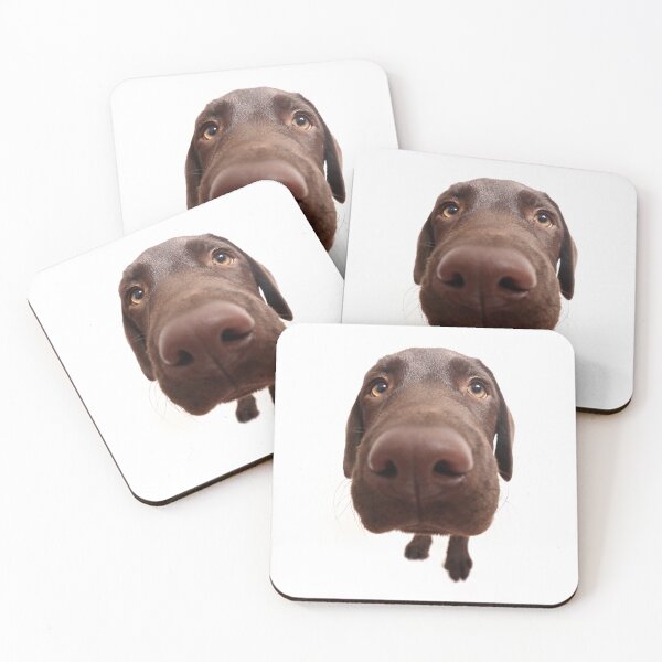 Item preview, Fisheye Chocolate Labrador Puppy designed and sold by JeanettesPets.