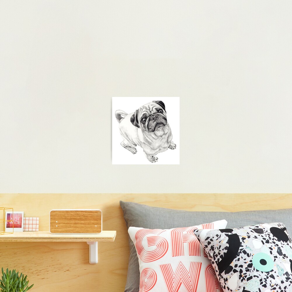 Seymour Photographic Print