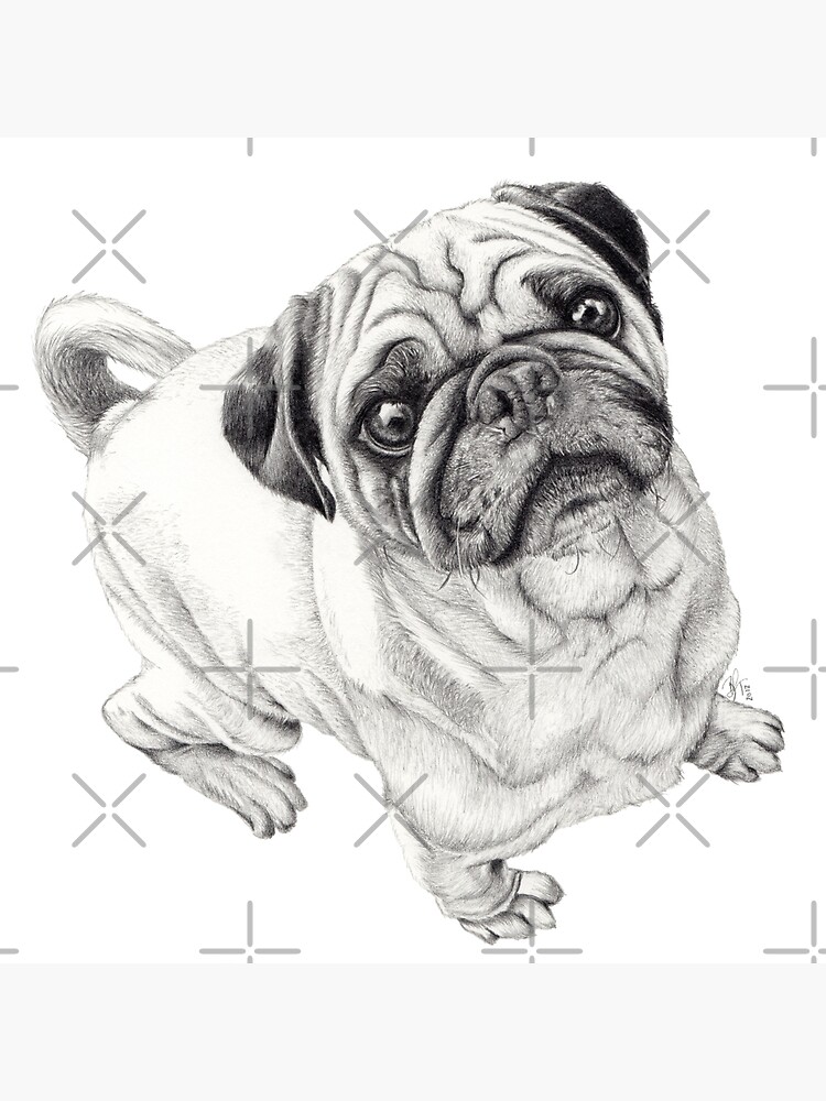 Thumbnail 3 of 3, Photographic Print, Seymour designed and sold by beththompsonart.