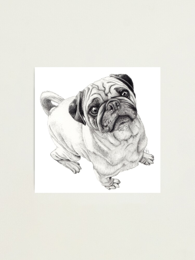 Thumbnail 2 of 3, Photographic Print, Seymour designed and sold by beththompsonart.