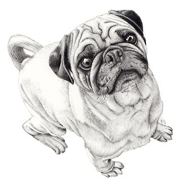 Artwork thumbnail, Seymour by Beth Thompson