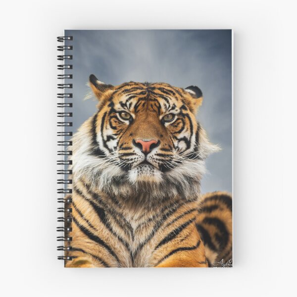 Item preview, TIGER STARE designed and sold by Andrew Dickman.