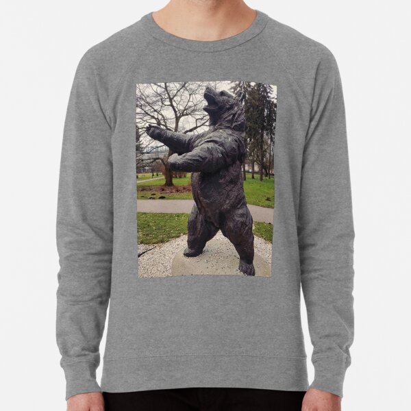 army bears sweatshirt
