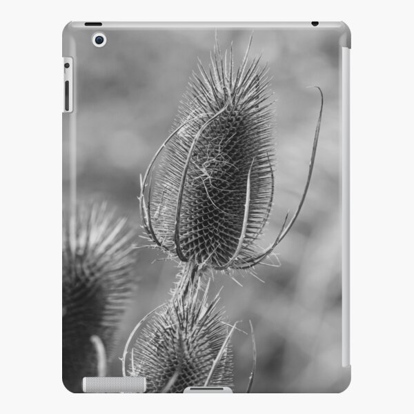 Wild Nature iPad Snap Case