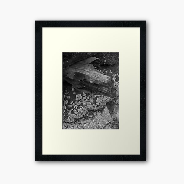 Untitled Framed Art Print