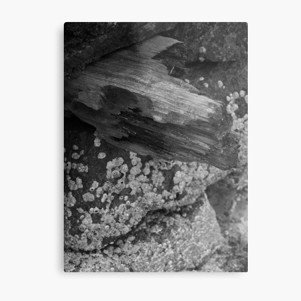 Untitled Metal Print