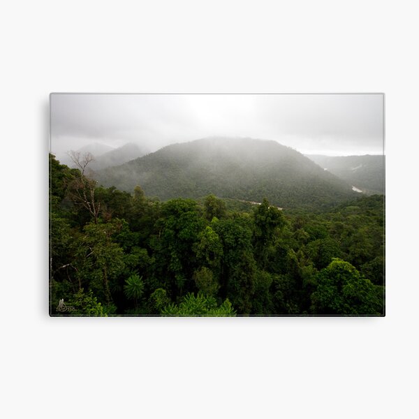 Mamu Rainforest Walk 1 Canvas Print