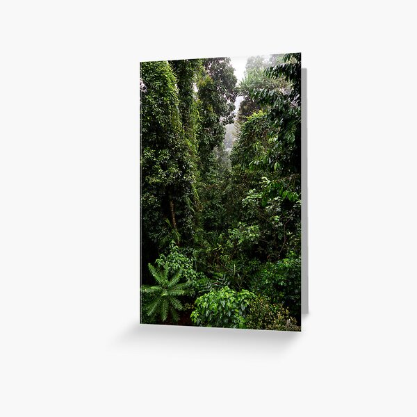 Mamu Rainforest Walk 2 Greeting Card