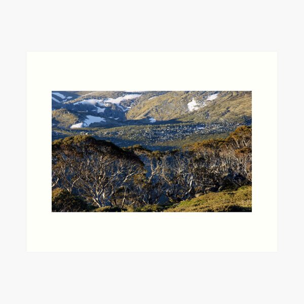 Item preview, Snowgums designed and sold by Harry Oldmeadow.