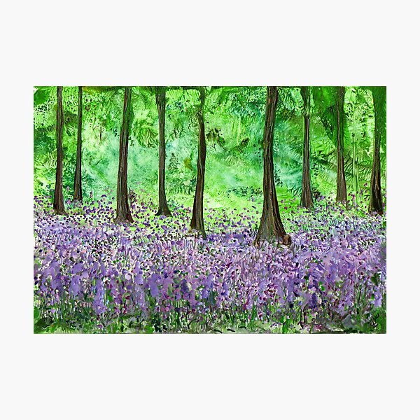 Bluebell Woods - Walking Annie Photographic Print