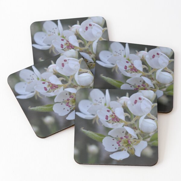 Item preview, Pear flowers designed and sold by AliciaVN.