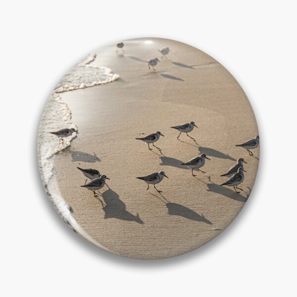 Item preview, Sandpiper 7 designed and sold by Just My Nature Photography.